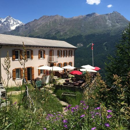 Edelweiss Mountain Guest House - 1 Hour Hike Up From Zermatt Station - On Hiking Trail - No Transport Extérieur photo