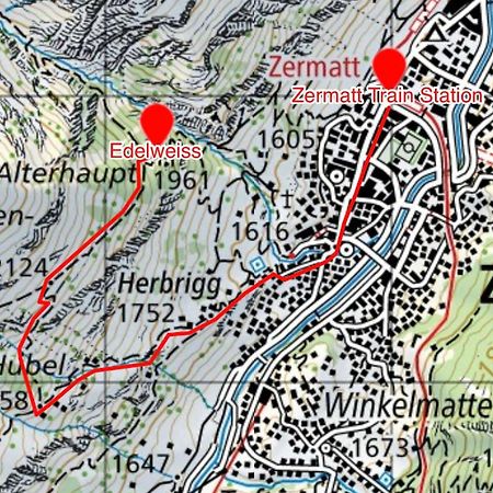 Edelweiss Mountain Guest House - 1 Hour Hike Up From Zermatt Station - On Hiking Trail - No Transport Extérieur photo