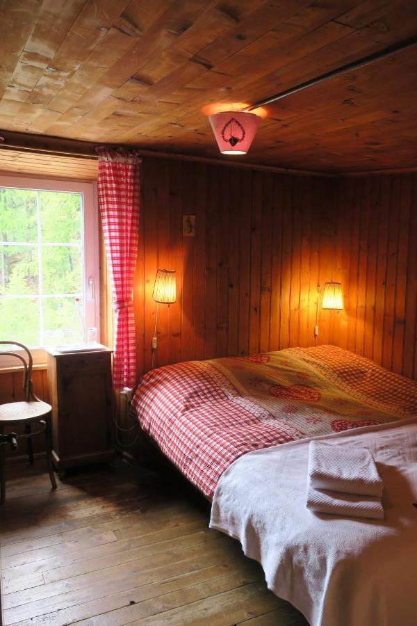 Edelweiss Mountain Guest House - 1 Hour Hike Up From Zermatt Station - On Hiking Trail - No Transport Extérieur photo