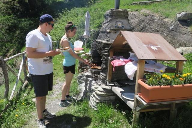 Edelweiss Mountain Guest House - 1 Hour Hike Up From Zermatt Station - On Hiking Trail - No Transport Extérieur photo